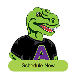 Schedule Now Icon
